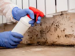 Asbestos and Lead Testing During Mold Inspection in Stevensville, MD